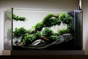 Planted Aquarium Setup Set - 50AD (Advanced)