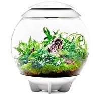 gift-an-aquarium - 1 (1)